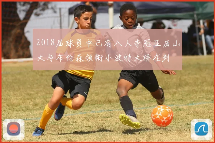 2018届球员中已有八人夺冠亚历山大与布伦森领衔小波特大桥在列