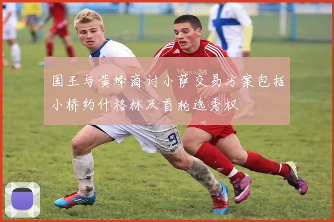 国王与黄蜂商讨小萨交易方案包括小桥约什格林及首轮选秀权